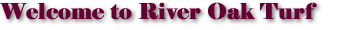 River Oak Turf - Quality Turf Products and Services to Lismore, Ballina, Northern Rivers, Gold Coast and Brisbane